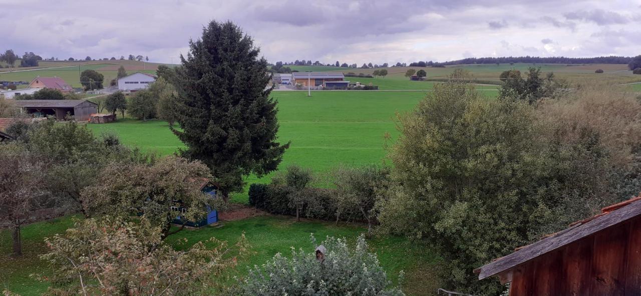 1a Apartment Waltenhausen